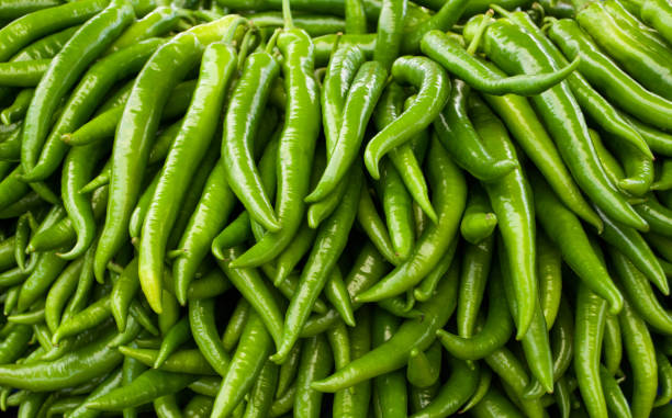 Close-up of green hot chili peppers Close-up of green hot chili peppers green chilli pepper stock pictures, royalty-free photos & images