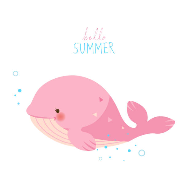bildbanksillustrationer, clip art samt tecknat material och ikoner med söt rosa whale på vit bakgrund - baby swim under water