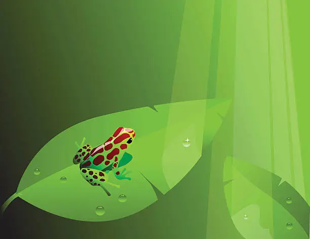 Vector illustration of Little Froggy ~ Vector
