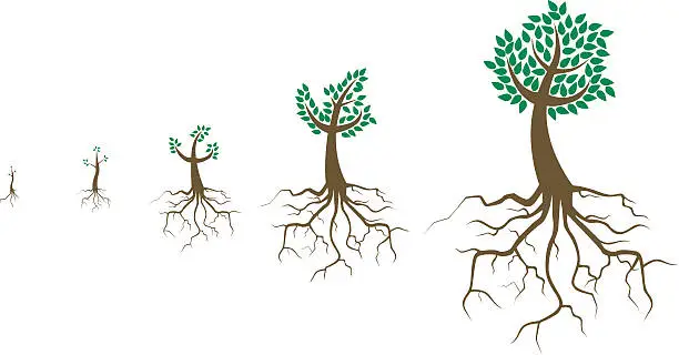 Vector illustration of Growth ~ Vector