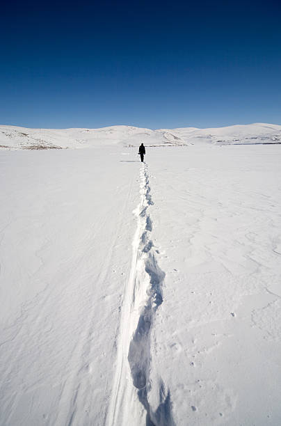 зимние пути - snow track human foot steps стоковые фото и изображения