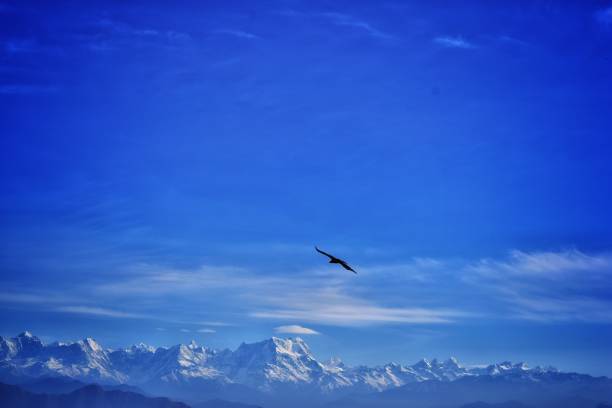 istock Ripples of Serenity 963375648