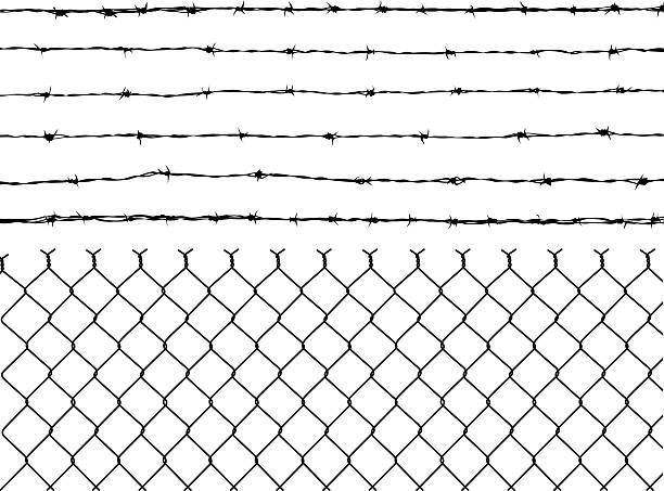 Barbed Wire and Fence  barbed wire stock illustrations