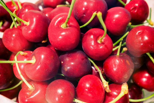 istock Sweet cherry fruits 963378174