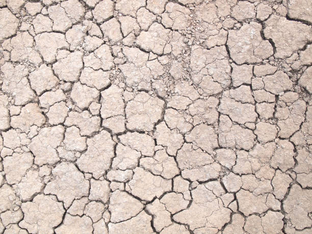 istock Top view shot of cracked soil 963379284