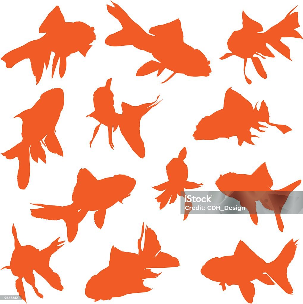Goldfish Vectors  Goldfish stock vector