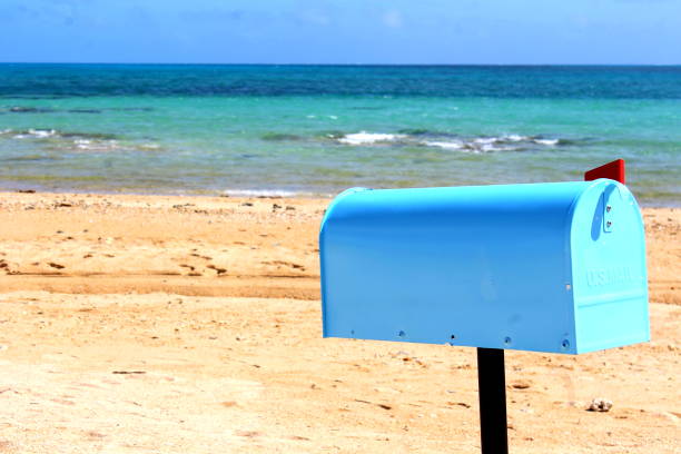 Sea of ​​summer