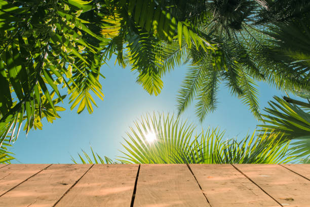 istock Wooden surface with tropical background in sunny day. 963385280
