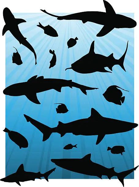 Vector illustration of Ocean Aquarium