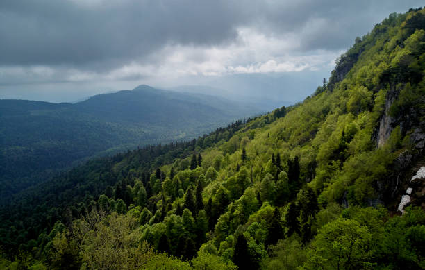 istock beautiful mountain summer landscape 963390772