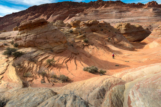 istock The Wave, Navajo Sandstone, Arizona 963392066