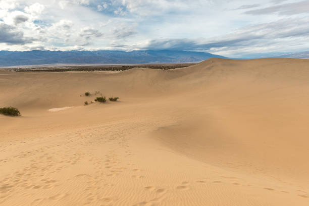 istock Mesquite Flat Sand Dunes, Death Valley National Park 963392118
