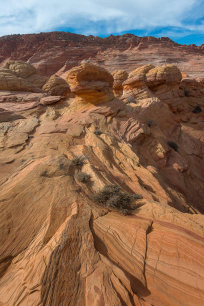 istock The Wave, Navajo Sandstone, Arizona 963392190