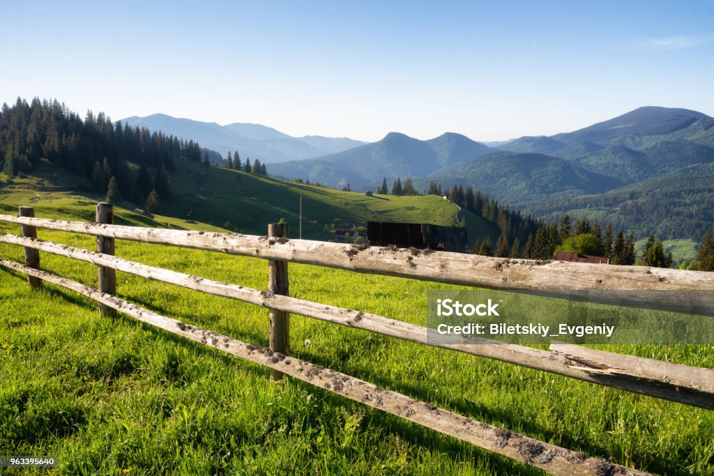 Mountains at the morning time. Beautiful natural landscape at the summer time Agricultural Field Stock Photo