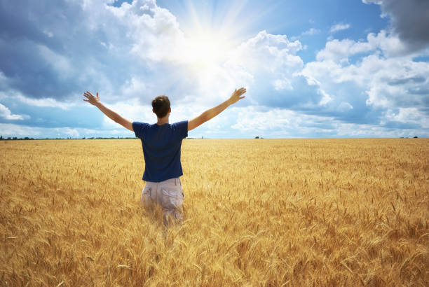 istock Man in yellow wheat meadow 963396784