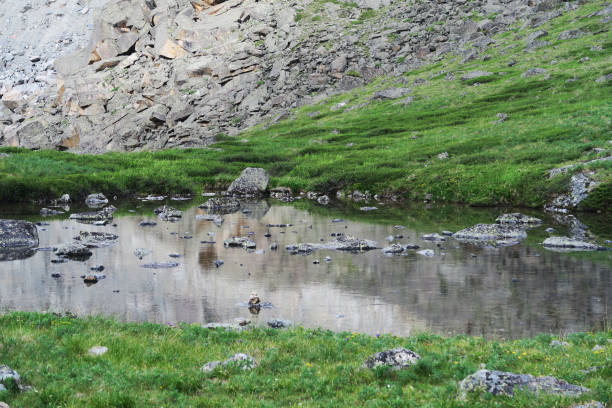 istock Altai lake of mountain spirits 963397704