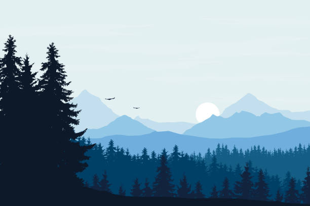 ilustraciones, imágenes clip art, dibujos animados e iconos de stock de ilustración realista vector de paisaje de montaña con bosque, cielo azul con nubes, pájaros y sol naciente - sunset winter mountain peak european alps