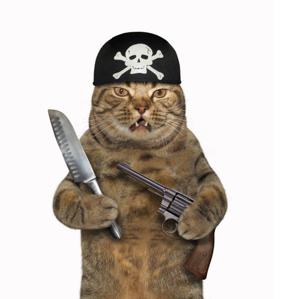 istock Cat pirate with a gun and a knife 963398654