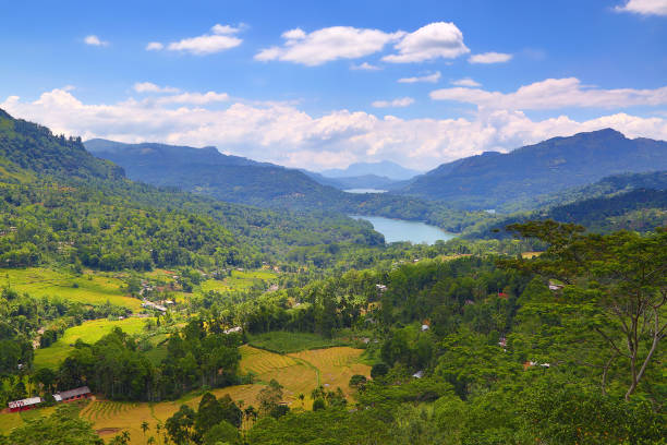 istock mountain landscape in Sri Lanka 963398970