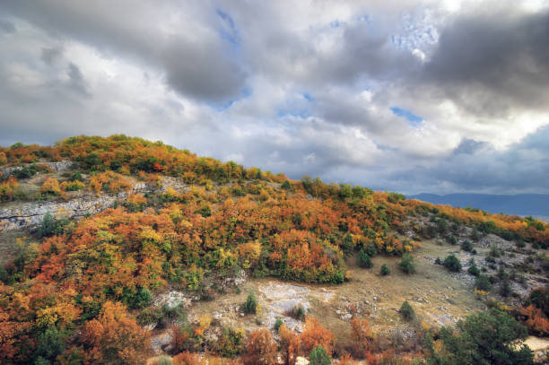 istock Mountain autumn hills landscape. Nature composition 963403978