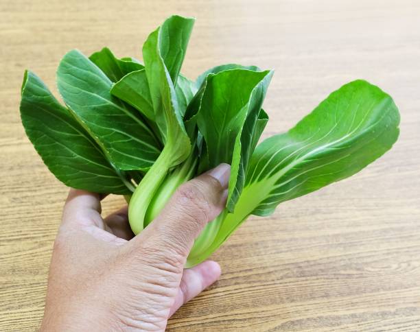 istock Hand Holding A Fresh Green Bok Choy 963407934