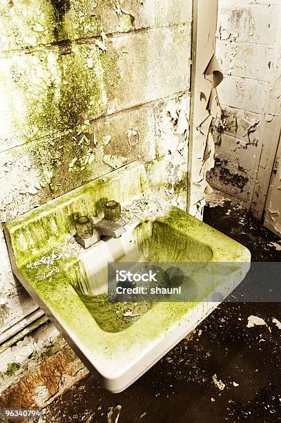 Washroom Grunge - Fotografias de stock e mais imagens de Abandonado - Abandonado, Bactéria, Banca