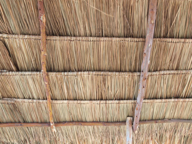 istock Close up straw background. Texture of thatch roof 963412254