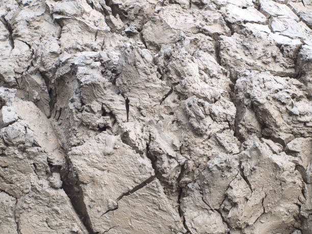 istock Top view shot of cracked soil 963412396