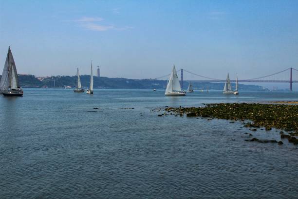 istock Sailing along the Tagus river in the afternoon 963416816
