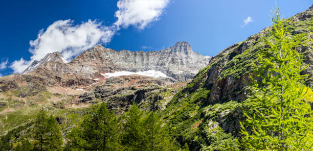 valpelline, aostatal, italien. dent d'hérens und grandes mauern aus prarayer - larch tree stone landscape sky stock-fotos und bilder