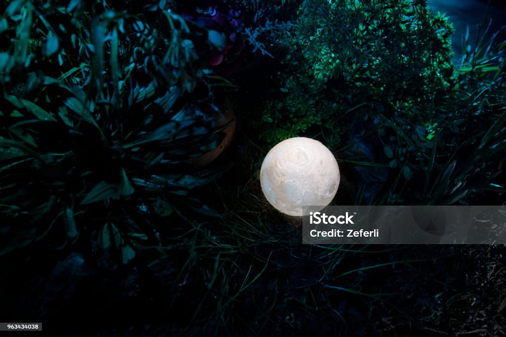Concept de fantaisie surréaliste - pleine lune couché dans l’herbe. Photo décoré. Résumé des origines de fée. - Photo de Arbre libre de droits