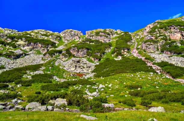 istock Beautiful mountain landscape 963438316