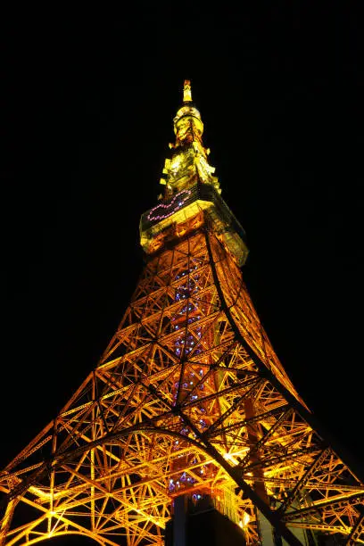 Tokyo Tower / Night View / Heart / Romance