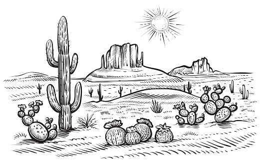 Desert landscape vector illustration. Hand drawn black and white line desert with saguaro and opuntia blooming cactus.