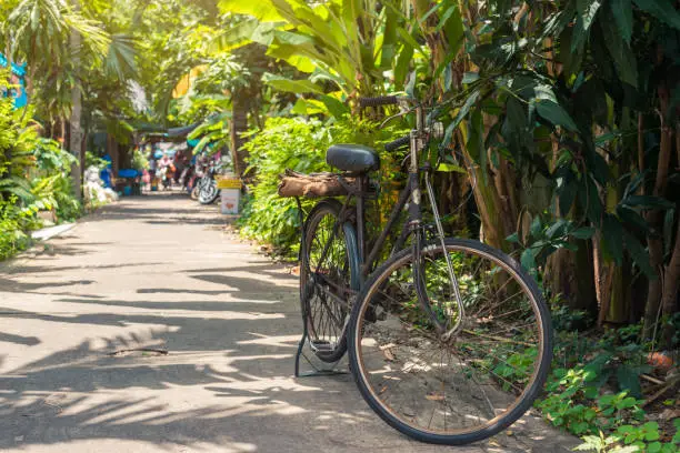 Old vintage bicycle in a street with banana trees and palm trees in Bangkok