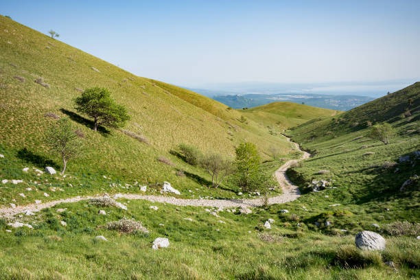 Free Stock Photo of Winding trail through green rolling hills ...