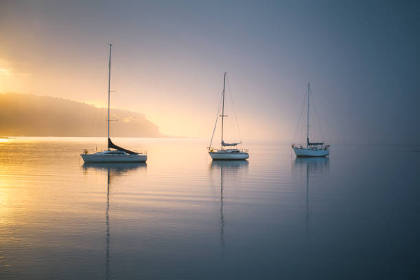 istock Boats in the harbour 963462932