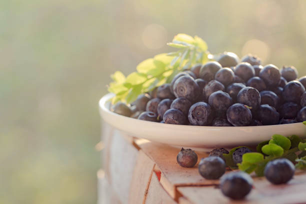 Close-up of juicy, ripe blueberries on a green blurred background. Beautiful bright background with berries, macro. Concept of healthy eating