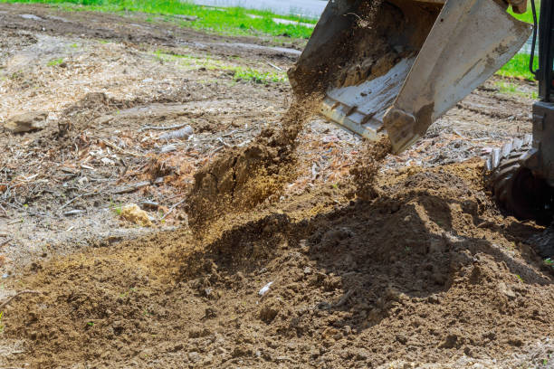 istock Earth moving by a bulldozer in the construction of 963463644