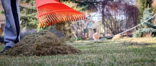 Gardener Operating Soil Aeration Machine on Grass Lawn