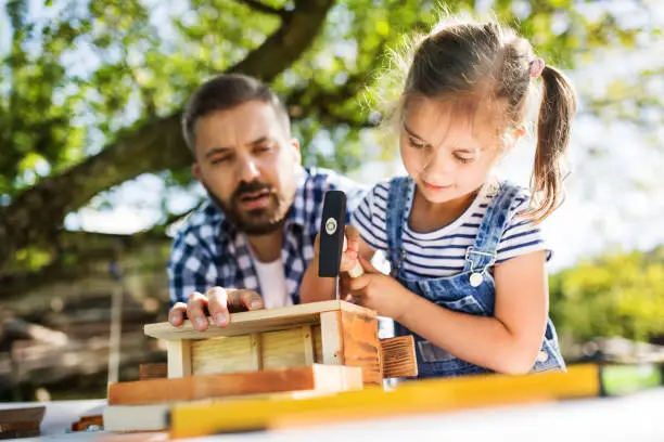 Photo of Father with a small daughter outside, making wooden birdhouse.