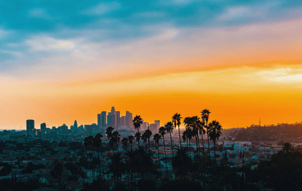 Downtown Los Angeles skyline at sunset Downtown Los Angeles skyline at sunset with palm trees in the foreground los angeles county stock pictures, royalty-free photos & images