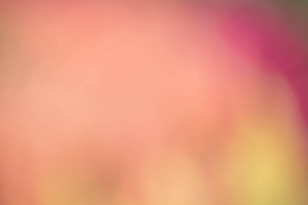 istock Beautiful blurred background made of flowers. 963514486