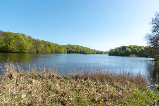 istock Landscape at Hackeberga in Sweden 963514662