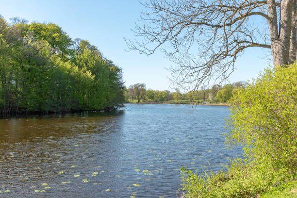 istock Spring by the lake in Hackeberga Sweden 963514674