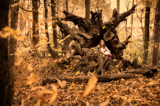 Sweet innocent little girl hides in a hollow tree trunk in the forest and watches leaves fall on an Autumn day, Evansville, IN, USA