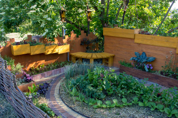 istock bed A modern designer garden. Using natural materials. And the selection of plants for compatibility 963519252