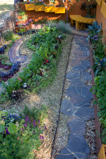 istock bed A modern designer garden. Using natural materials. And the selection of plants for compatibility 963519514