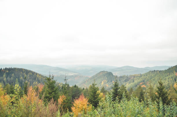istock Scenic View Of Landscape Against Sky 963523354