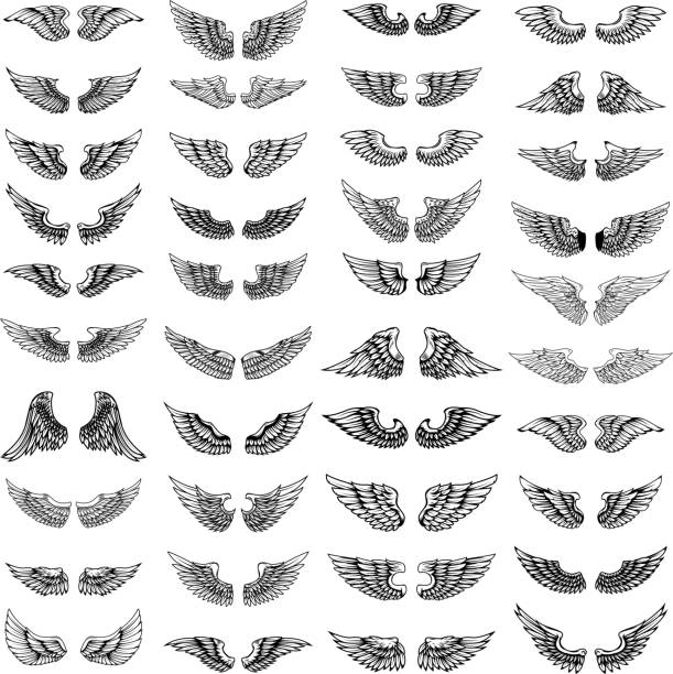Big set of wings on white background. Design elements for  label, emblem, sign. Big set of wings on white background. Design elements for  label, emblem, sign. Vector image wings tattoos stock illustrations
